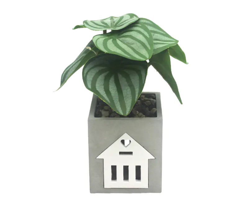 Apakah lampu semen LED kompatibel dengan sistem rumah pintar, untuk kontrol suara dan otomatisasi?